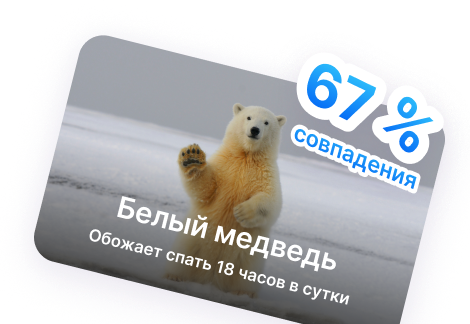 Карточка белого медведя с показателем совпадения 67%